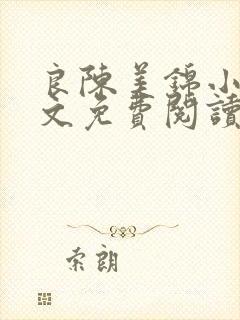 良陈美锦小说全文免费阅读未删减