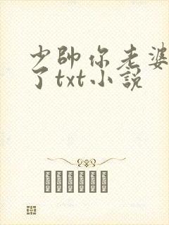少帅你老婆又跑了txt小说