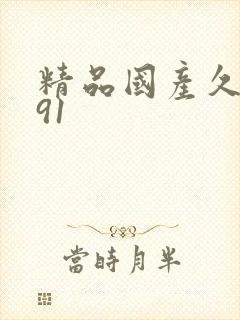 精品国产久久久91