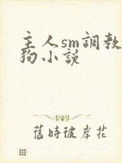 主人sm调教母狗小说封面