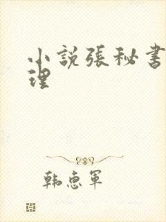 小说张秘书林经理封面