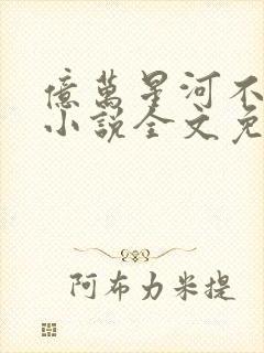 亿万星河不及你小说全文免费阅读