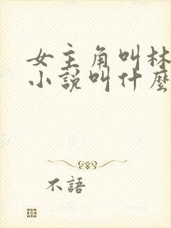 女主角叫林晚的小说叫什么名字