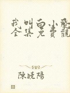 我叫白小飞3季全集免费观看