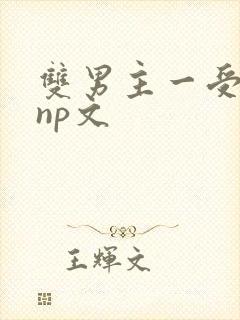双男主一受多攻np文