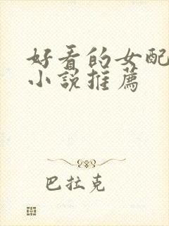 好看的女配穿越小说推荐封面