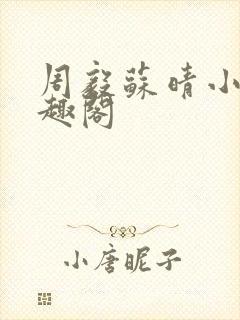 周毅苏晴小说笔趣阁