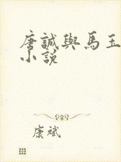 唐诚与马玉婷的小说