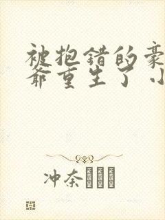 被抱错的豪门少爷重生了 小说