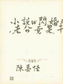 小说w闪婚成宠,老公竟是千亿大佬》