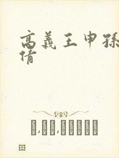 高义王申孙敏孙倩