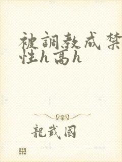 被调教成禁脔双性h高h