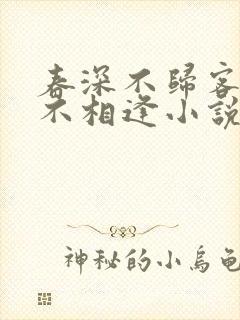 春深不归客清梦不相逢小说全文免费