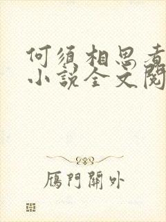 何须相思煮余年小说全文阅读免费