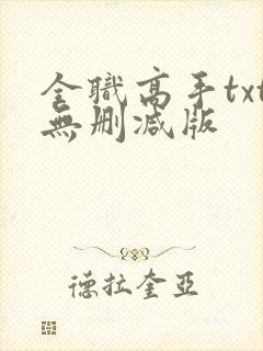 全职高手txt无删减版封面