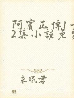 阿宾正传1一72集小说免费阅读