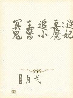 冥王追妻:逆天鬼医小魔妃