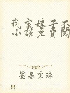 我家娘子不对劲小说免费阅读完整版封面