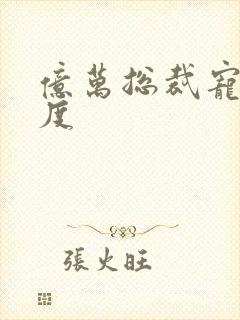 亿万总裁宠妻无度