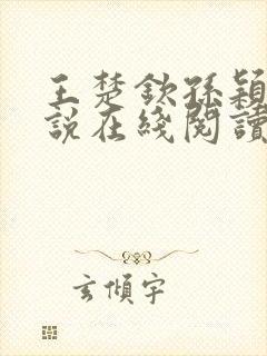 王楚钦孙颖莎小说在线阅读