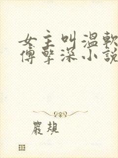 女主叫温软语 傅擎深小说名字封面