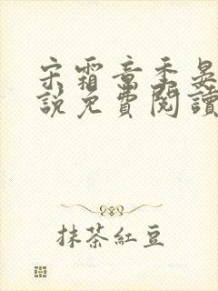 宋霜意季晏星小说免费阅读最新章节封面