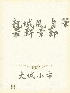 龙城风月笔趣阁最新章节