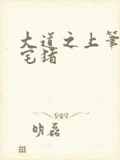 大道之上笔趣阁宅猪封面
