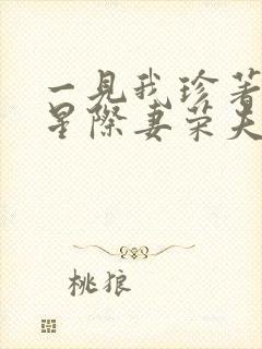 一见我珍著穿越星际妻荣夫贵