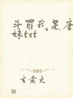 斗罗我是唐三妹妹txt封面