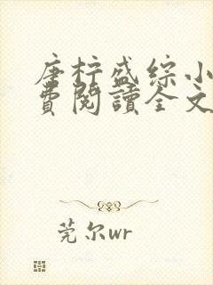 唐柠盛综小说免费阅读全文最新章节