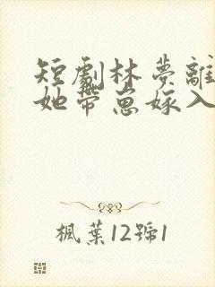 短剧林梦离婚后她带崽嫁入豪门封面