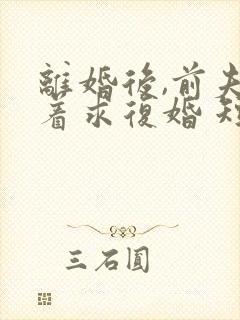 离婚后,前夫哭着求复婚 短剧