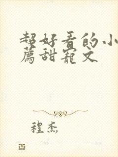 超好看的小说推荐甜宠文