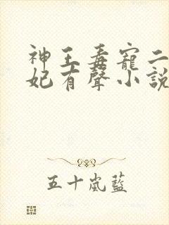 神王毒宠二嫁王妃有声小说