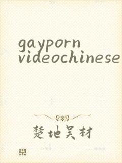 gaypornvideochinese
