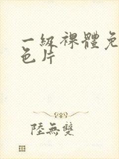 一级裸体免费黄色片