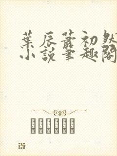 叶辰萧初然顶点小说笔趣阁