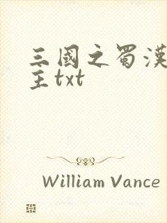 三国之蜀汉我做主txt封面