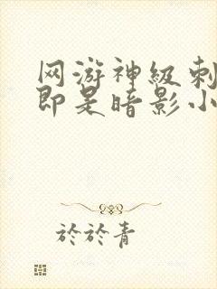 网游神级刺客我即是暗影小说