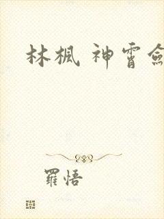 林枫 神霄剑宗封面
