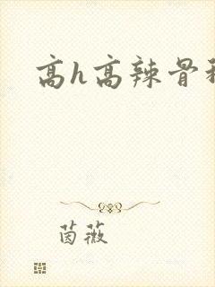 高h高辣骨科