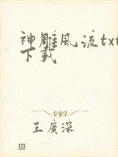 神雕风流txt下载封面