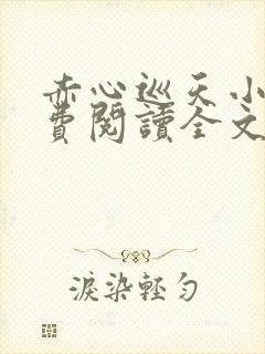 赤心巡天小说免费阅读全文无删减封面