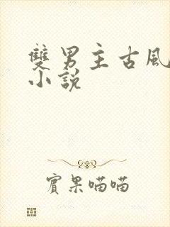 双男主古风探案小说