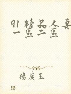 91 精品人妻一区二区