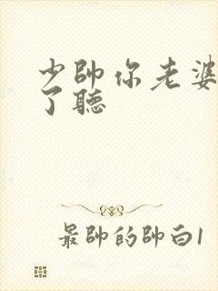 少帅你老婆又跑了听