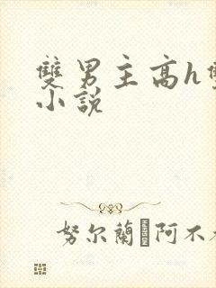 双男主高h双性小说封面