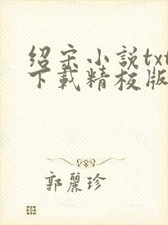 绍宋小说txt下载精校版