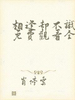 相逢却不识短剧免费观看全集